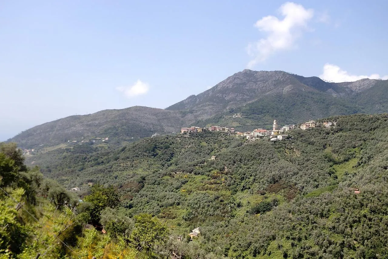 Apartment Green Cactus House La Spezia Italy