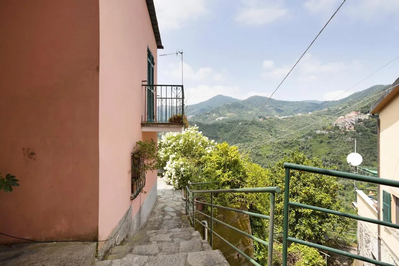 Green Cactus House La Spezia