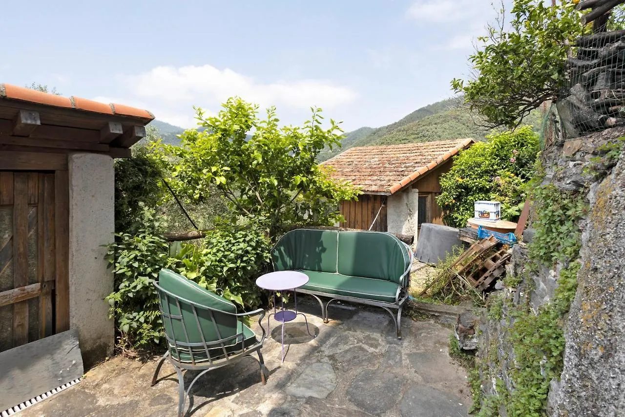 Green Cactus House La Spezia 0*,