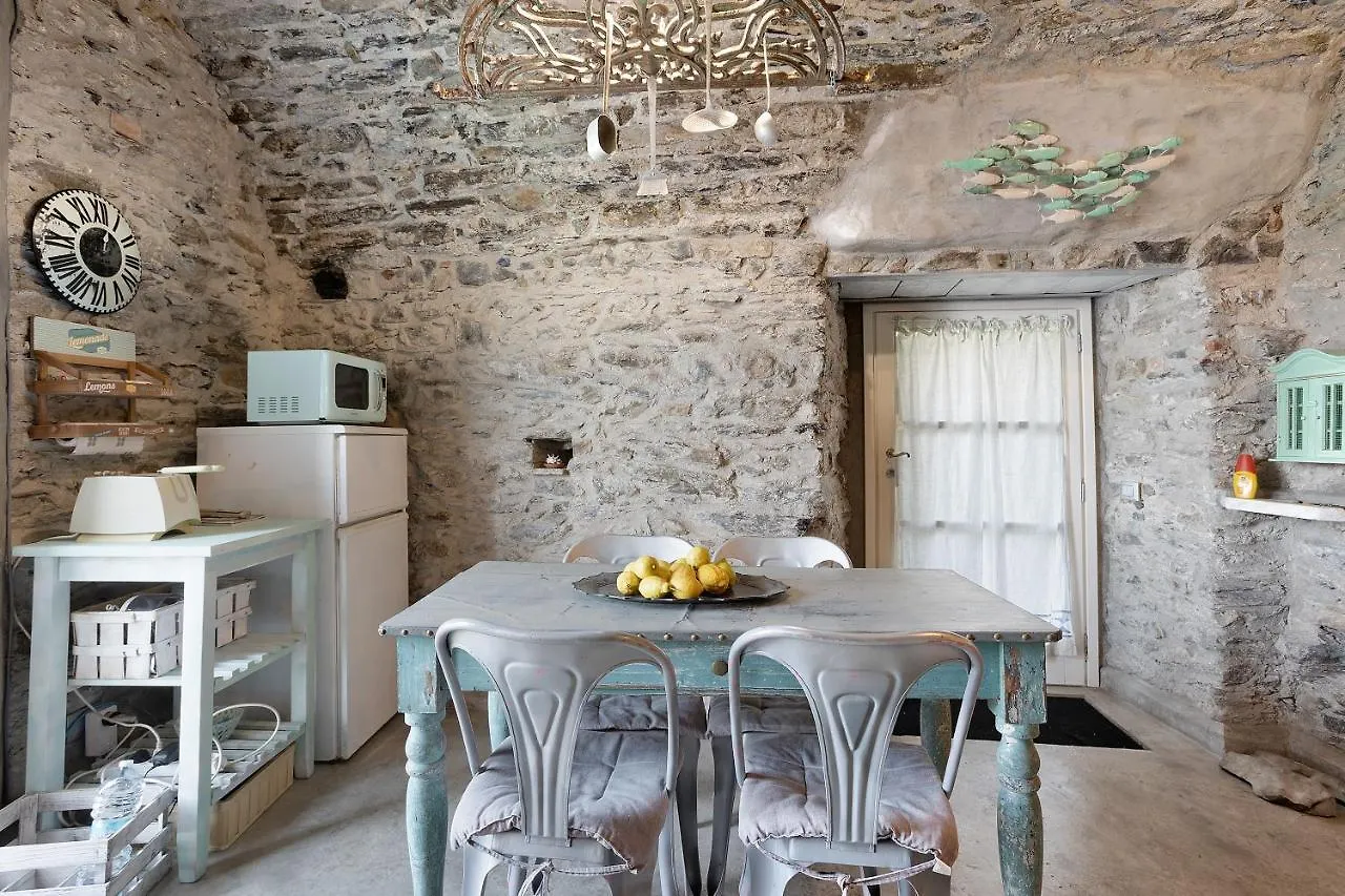 Green Cactus House La Spezia Apartment