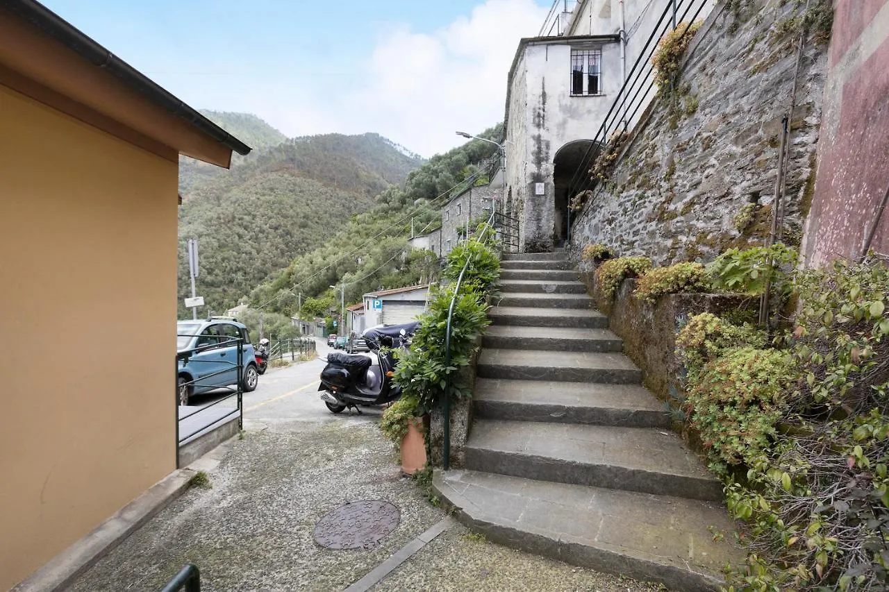 Green Cactus House La Spezia Italy