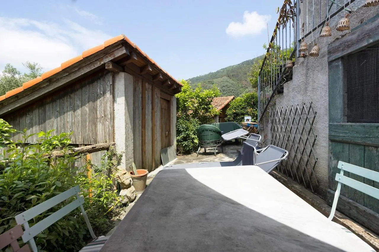 Green Cactus House La Spezia Apartment